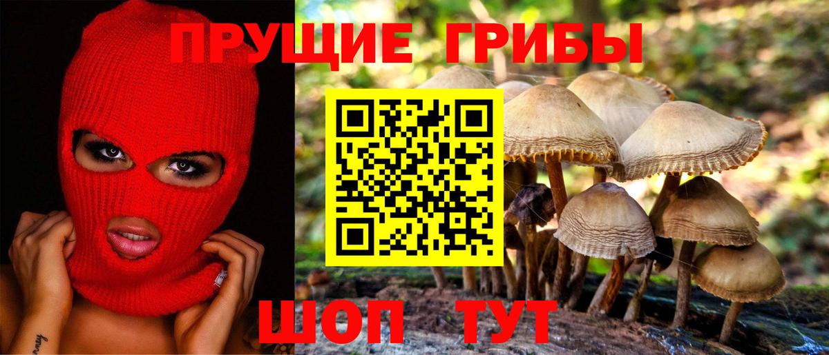 Галлюциногенные грибы ЛСД Новошахтинск